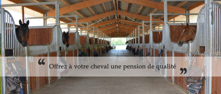 Cheval une pension box de qualité à Crolles en Isère